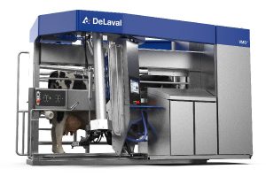 systemy udojowe krów