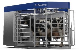 systemy udojowe krów